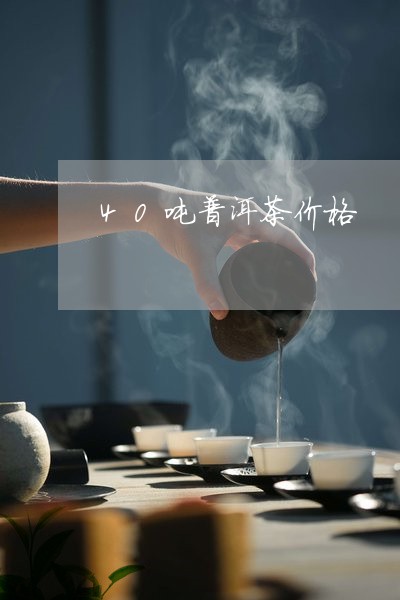 40吨普洱茶价格/2023041014259