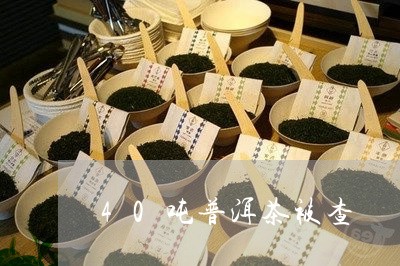 40吨普洱茶被查/2023040981724