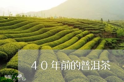 40年前的普洱茶/2023033009821