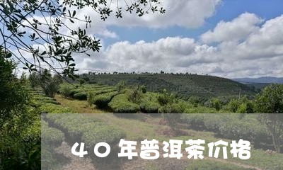 40年普洱茶价格/2023041259593