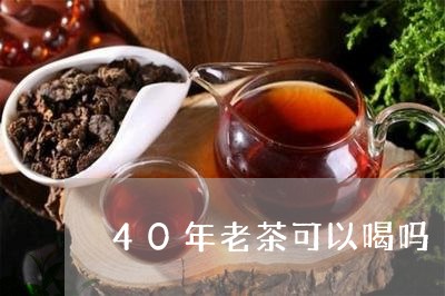 40年老茶可以喝吗/2023032059525