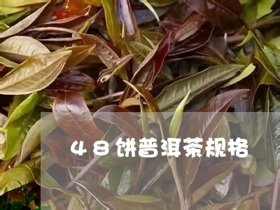 48饼普洱茶规格/2023031676149