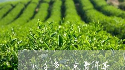 4千多一克普洱茶/2023033076170