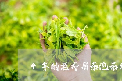 4年的老寿眉茶泡茶的方法/2023033159362