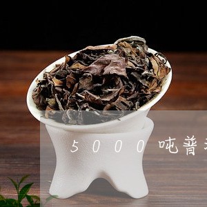 5000吨普洱茶/2023041031614