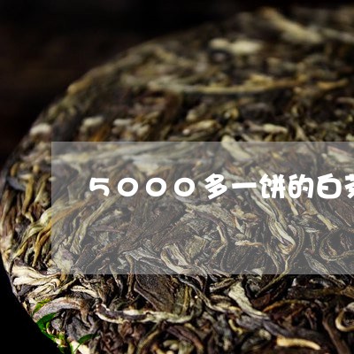 5000多一饼的白茶好吗/2023033022516