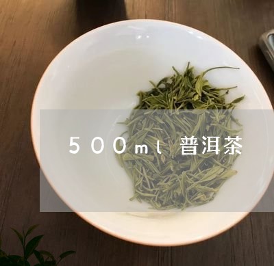 500ml普洱茶/2023041256050