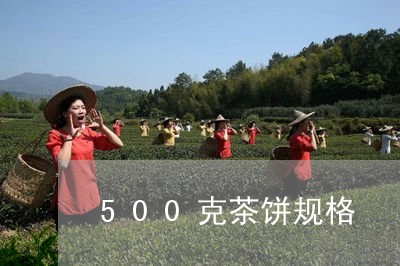 500克茶饼规格/2023032458381