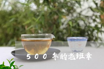 500年的老班章/2023032801618