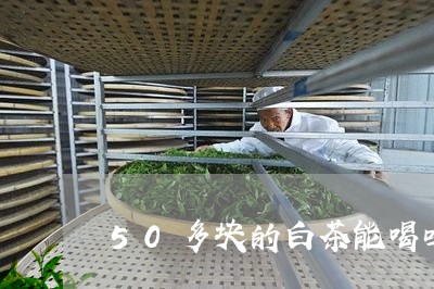 50多块的白茶能喝吗/2023033160471