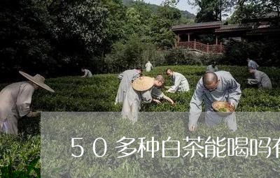 50多种白茶能喝吗有毒吗/2023033190493