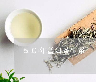 50年普洱茶生茶/2023031644049