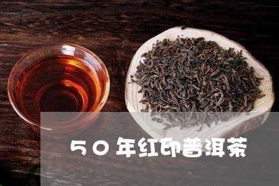 50年红印普洱茶/2023041379382