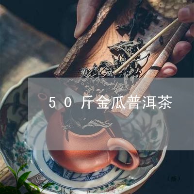 50斤金瓜普洱茶/2023041081705