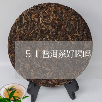 51普洱茶好喝吗/2023041048272