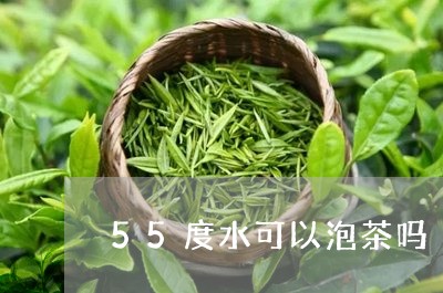 55度水可以泡茶吗/2023041648571