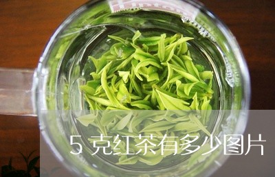 5克红茶有多少图片/2023041625360