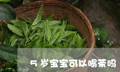 5岁宝宝可以喝茶吗/2023041692815