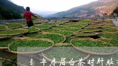 5年寿眉白茶对肝脏有益吗/2023033186258