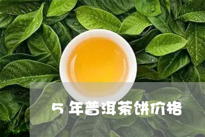 5年普洱茶饼价格/2023031811946