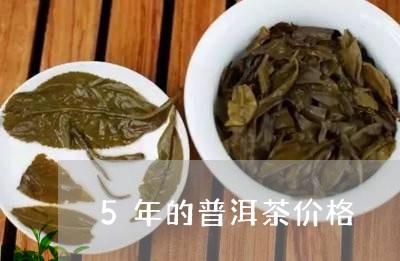 5年的普洱茶价格/2023041366481