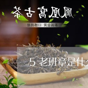 5老班章是什么茶/2023032994938