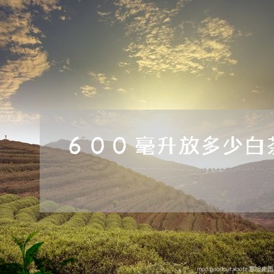 600毫升放多少白茶为宜/2023033084958