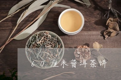 60厘米普洱茶饼/2023033138483