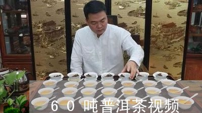 60吨普洱茶视频/2023041048383