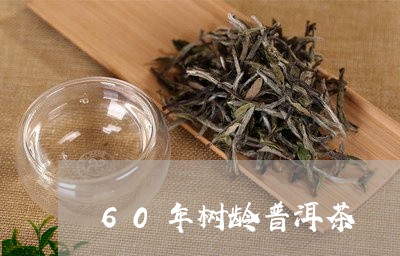 60年树龄普洱茶/2023041066249