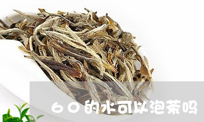 60的水可以泡茶吗/2023032005069