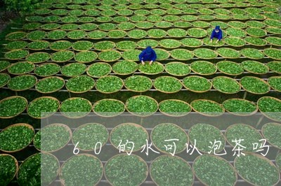 60的水可以泡茶吗/2023041629705