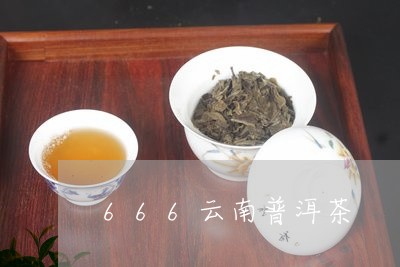 666云南普洱茶/2023041060593