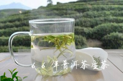 66年普洱茶生茶/2023031642939