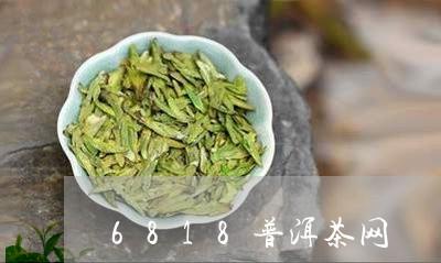 6818普洱茶网/2023041071648