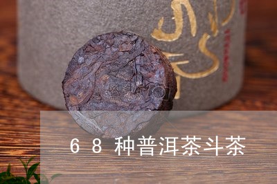 68种普洱茶斗茶/2023041144827