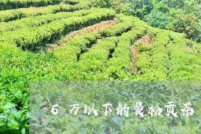 6万以下的曼松贡茶/2023041513836