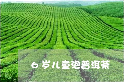 6岁儿童泡普洱茶/2023041259373