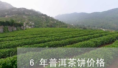 6年普洱茶饼价格/2023041382494