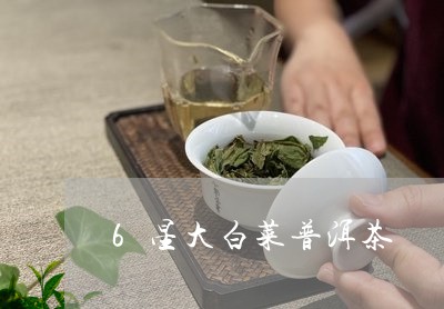 6星大白菜普洱茶/2023033057480