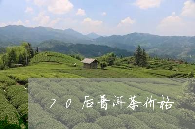 70后普洱茶价格/2023040996949