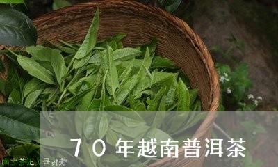 70年越南普洱茶/2023041394938