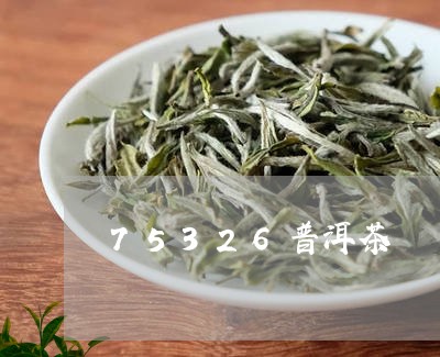 75326普洱茶/2023041204159