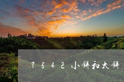 7542小饼和大饼/2023041611824