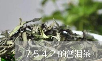 7542的普洱茶/2023041391481