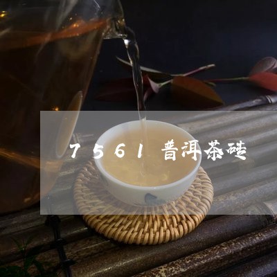 7561普洱茶砖/2023032963715