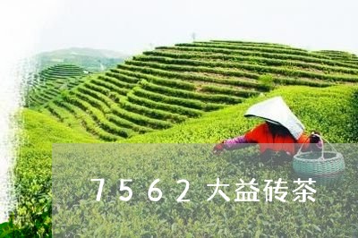 7562大益砖茶/2023032665858