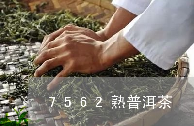 7562熟普洱茶/2023041085258