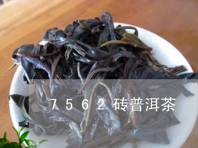 7562砖普洱茶/2023041091703