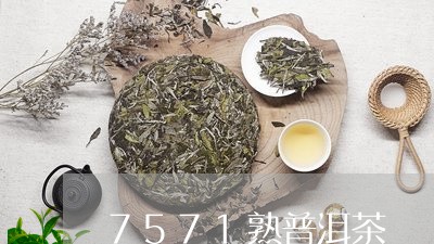 7571熟普洱茶/2023041390312